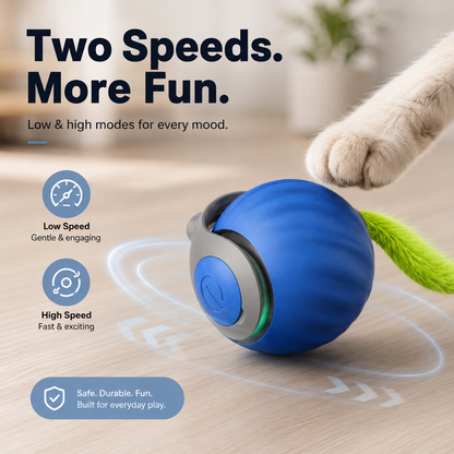 Interactive Motion Cat Toy Ball