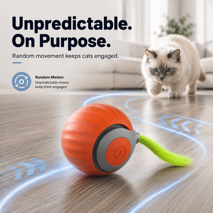 Interactive Motion Cat Toy Ball