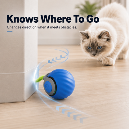 Interactive Motion Cat Toy Ball